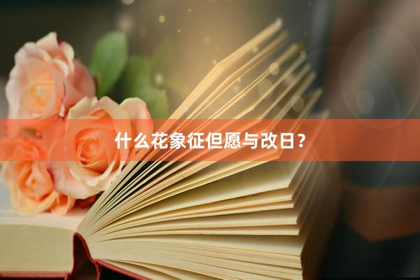 什么花象征但愿与改日？